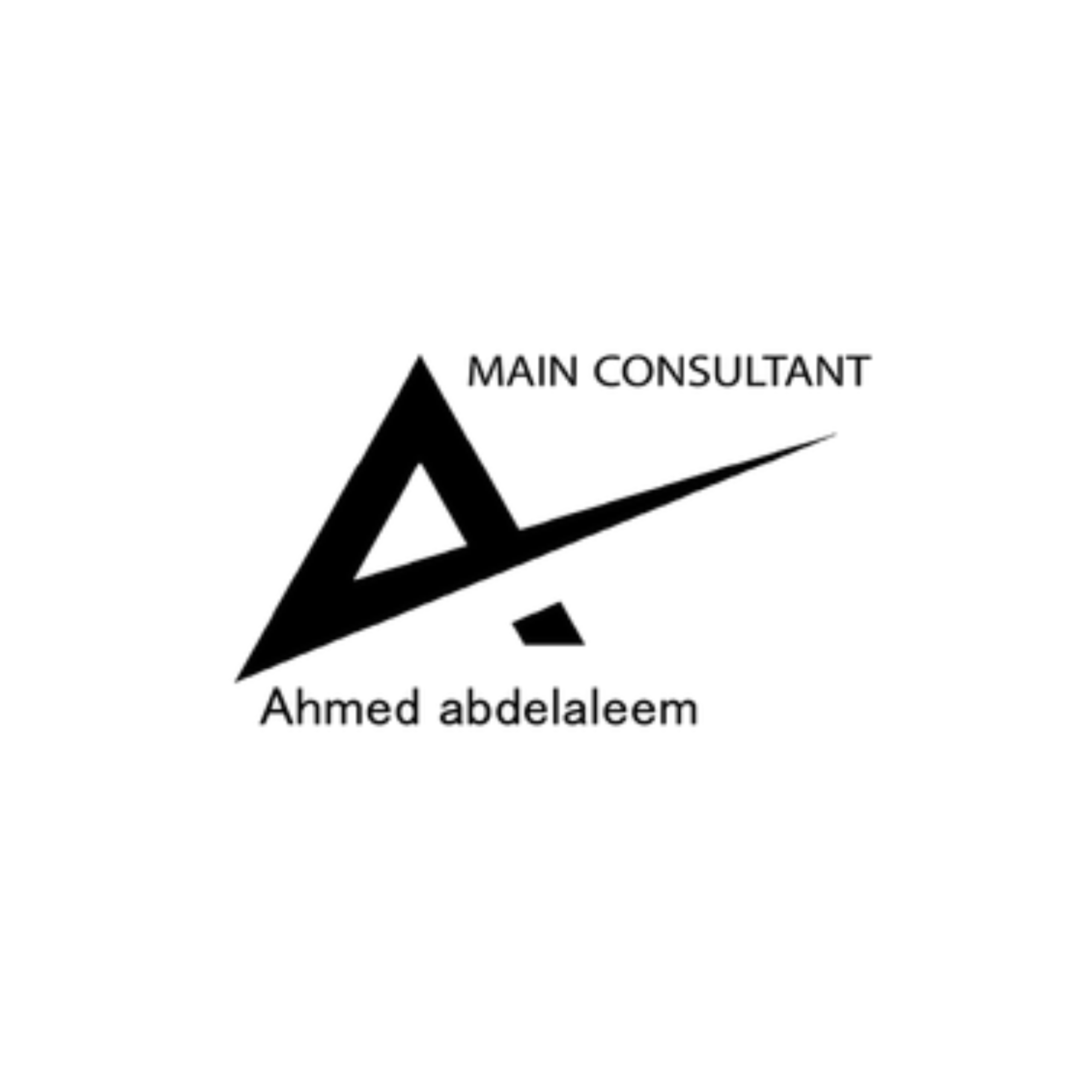 Ahmed Abdelaleem – Main Consultant